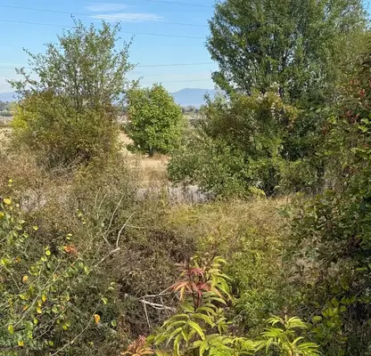 Photo 2 — Plot in German