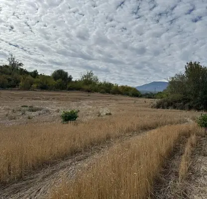 Photo 3 — Plot in German