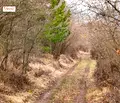 Снимка 3 — Парцел в с. Герман