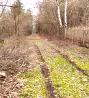 Парцел в с. Герман