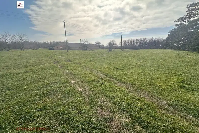 Plot in Ruse, Golyamo Vranovo