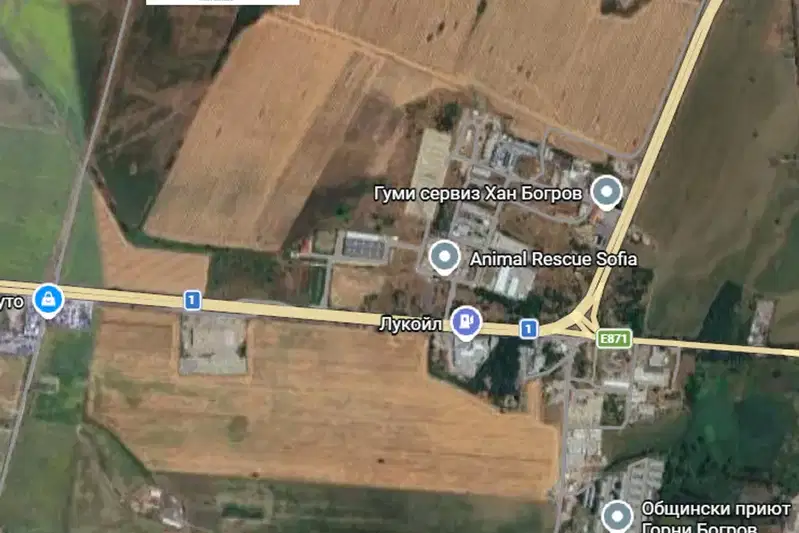 Plot in Gorni Bogrov