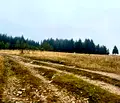Снимка 2 — Парцел в София, с. Говедарци