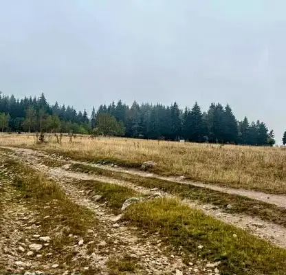 Photo 2 — Plot in област София, Govedarci