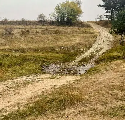 Photo 3 — Plot in област София, Govedarci