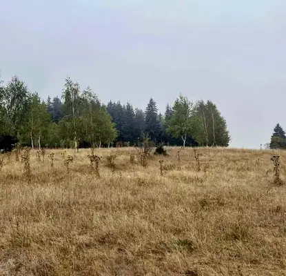 Photo 4 — Plot in област София, Govedarci