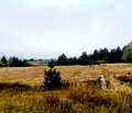 Снимка 5 — Парцел в София, с. Говедарци