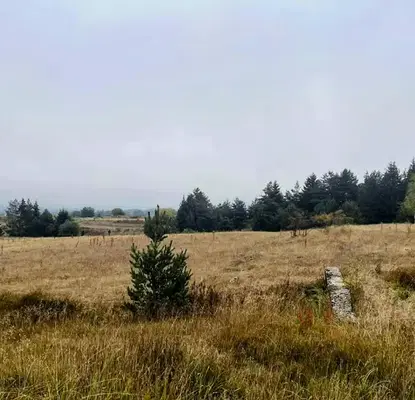 Photo 5 — Plot in област София, Govedarci