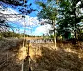 Снимка 3 — Парцел в Добрич, с. Градини