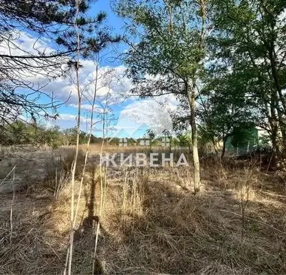 Photo 3 — Plot in Oblast Dobrich, Gradini