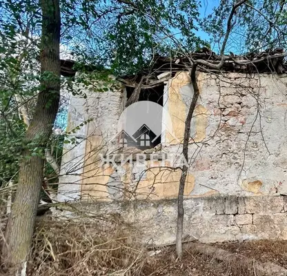 Photo 4 — Plot in Oblast Dobrich, Gradini