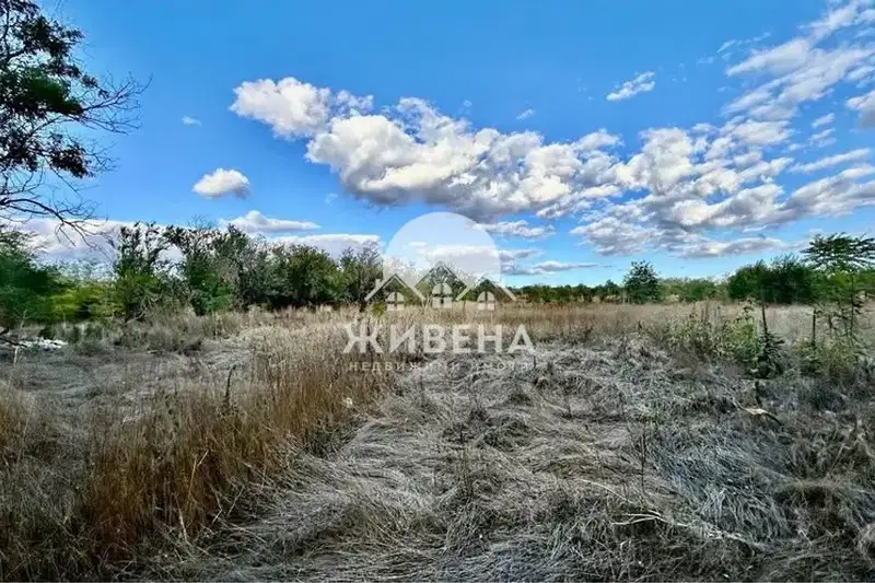 Plot in Oblast Dobrich, Gradini