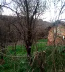 Парцел в София, с. Гурмазово