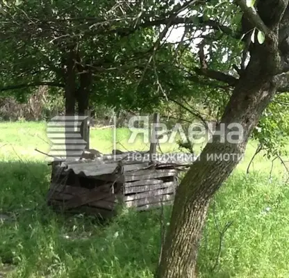 Photo 2 — Plot in Oblast Burgas, Hadjiite