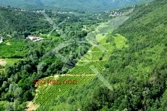 Парцел в Пловдив, с. Храбрино