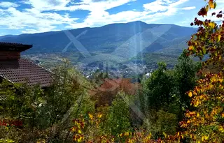 Парцел в Пловдив, с. Храбрино
