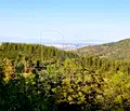 Снимка 2 — Парцел в Пловдив, с. Храбрино