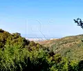 Снимка 5 — Парцел в Пловдив, с. Храбрино