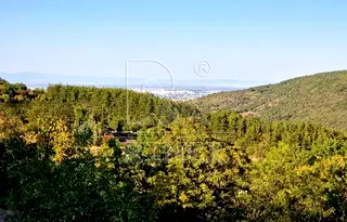 Парцел в Пловдив, с. Храбрино