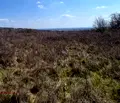 Снимка 4 — Парцел в Стара Загора, с. Хрищени