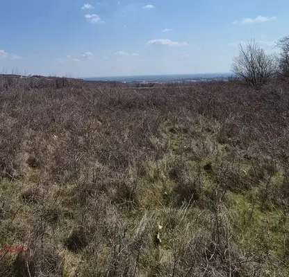 Снимка 4 — Парцел в Стара Загора, с. Хрищени