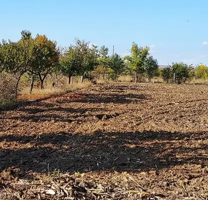 Photo 4 — Plot in Vidin, Inovo