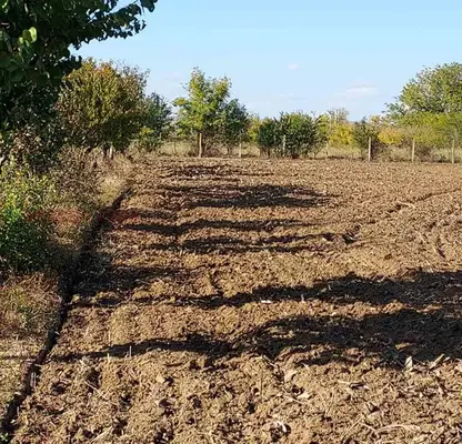 Photo 5 — Plot in Vidin, Inovo