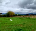 Снимка 4 — Парцел в с. Иваняне