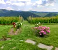 Снимка 3 — Парцел в с. Железница