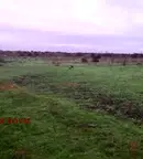 Парцел във Варна, с. Калиманци