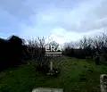 Снимка 4 — Парцел в Силистра, с. Калипетрово