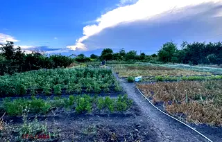 Парцел в Добрич, с. Камен бряг