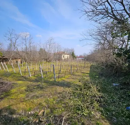 Снимка 2 — Парцел в Пазарджик, с. Карабунар