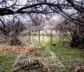 Снимка 2 — Парцел в Пловдив, с. Караджово