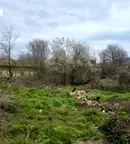 Парцел във Велико Търново, с. Кесарево