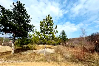 Парцел в с. Клисура