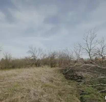 Photo 2 — Plot in Oblast Pleven, Koilovci