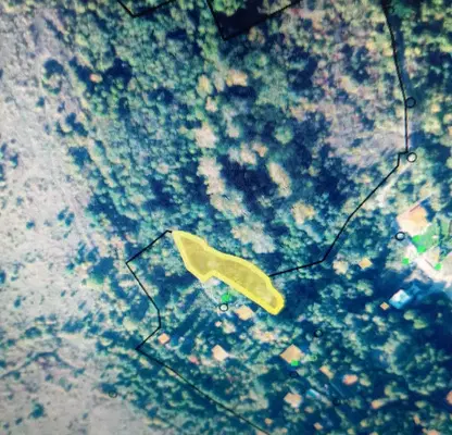 Photo 3 — Plot in Kokalyane