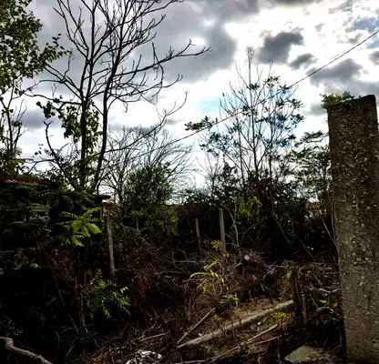 Photo 3 — Plot in Konstantinovo