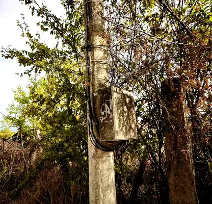 Photo 5 — Plot in Konstantinovo