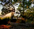 Снимка 4 — Парцел в Бургас, с. Кошарица