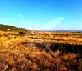 Снимка 3 — Парцел в Бургас, с. Кошарица