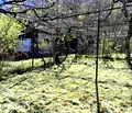 Снимка 3 — Парцел в Кюстендил, с. Крайни дол