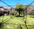 Снимка 5 — Парцел в Кюстендил, с. Крайни дол