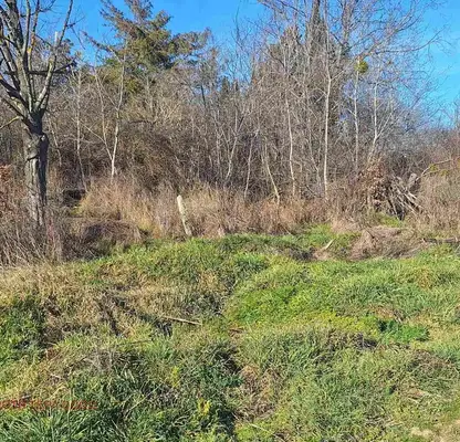 Photo 4 — Plot in Oblast Dobrich, Kranevo