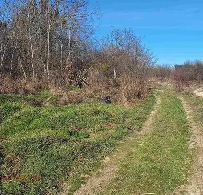Photo 5 — Plot in Oblast Dobrich, Kranevo