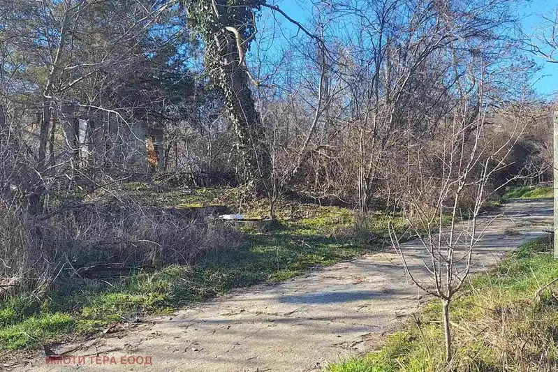 Plot in Oblast Dobrich, Kranevo