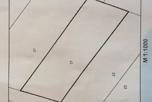 Plot in Krivina