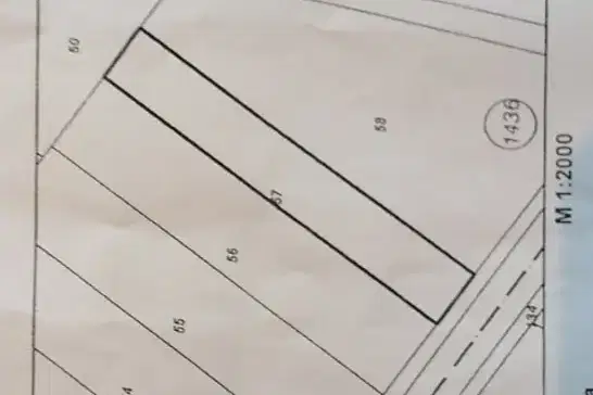 Plot in Krivina