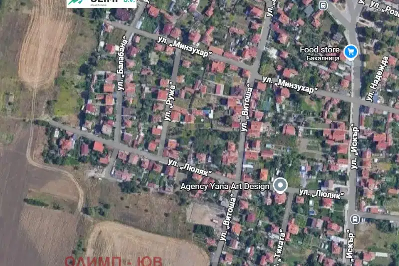 Plot in Krivina